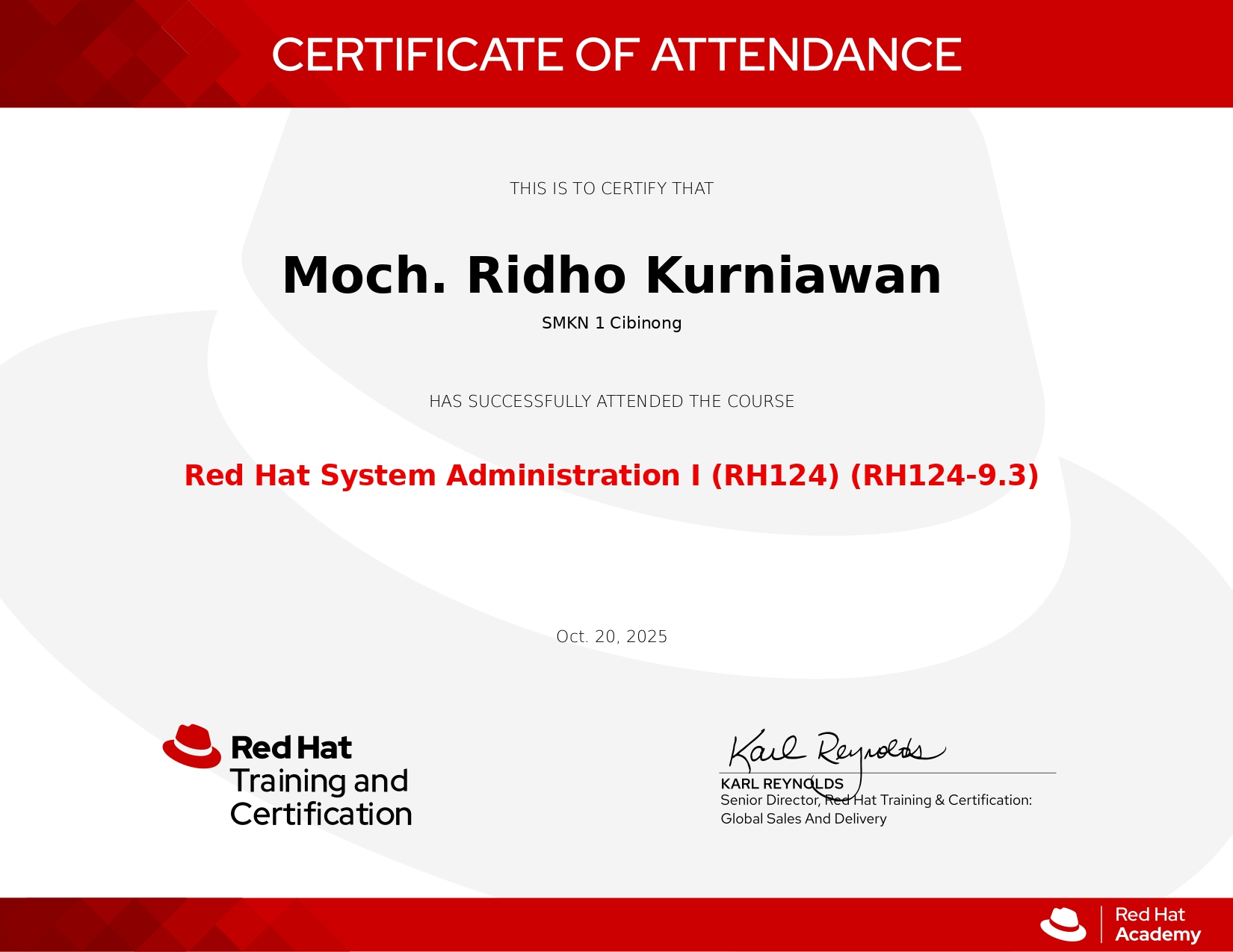 Red Hat System Administration I (RH124) - RED HAT